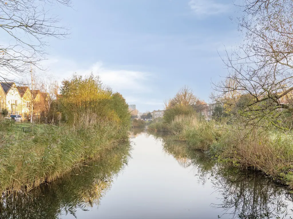 Antheunisstraat 41, 'S-GRAVENHAGE