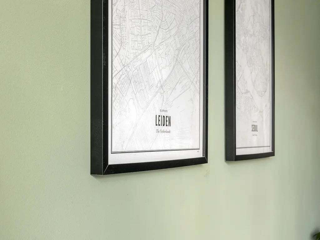 Bachstraat 268, Leiden