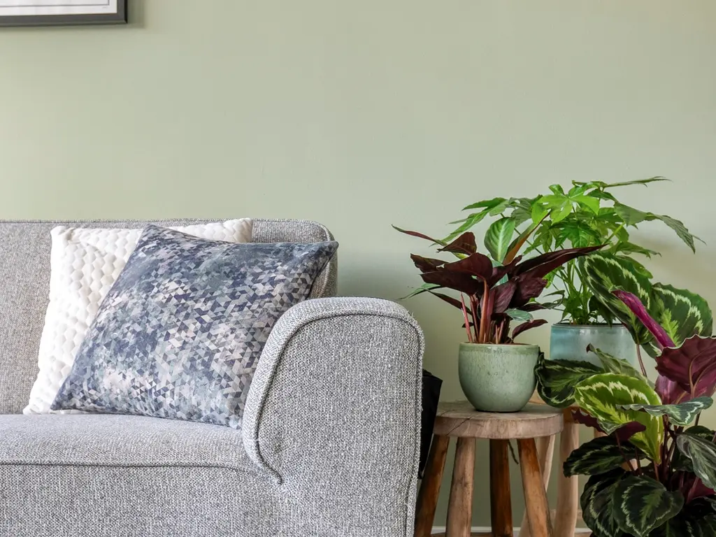 Bachstraat 268, Leiden