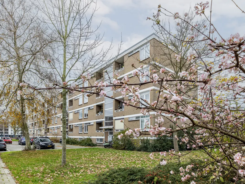 Augustinusstraat 27, ROTTERDAM