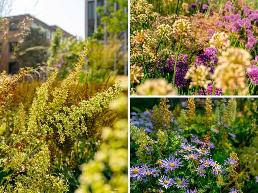 Maalderijstraat 21, Leiden