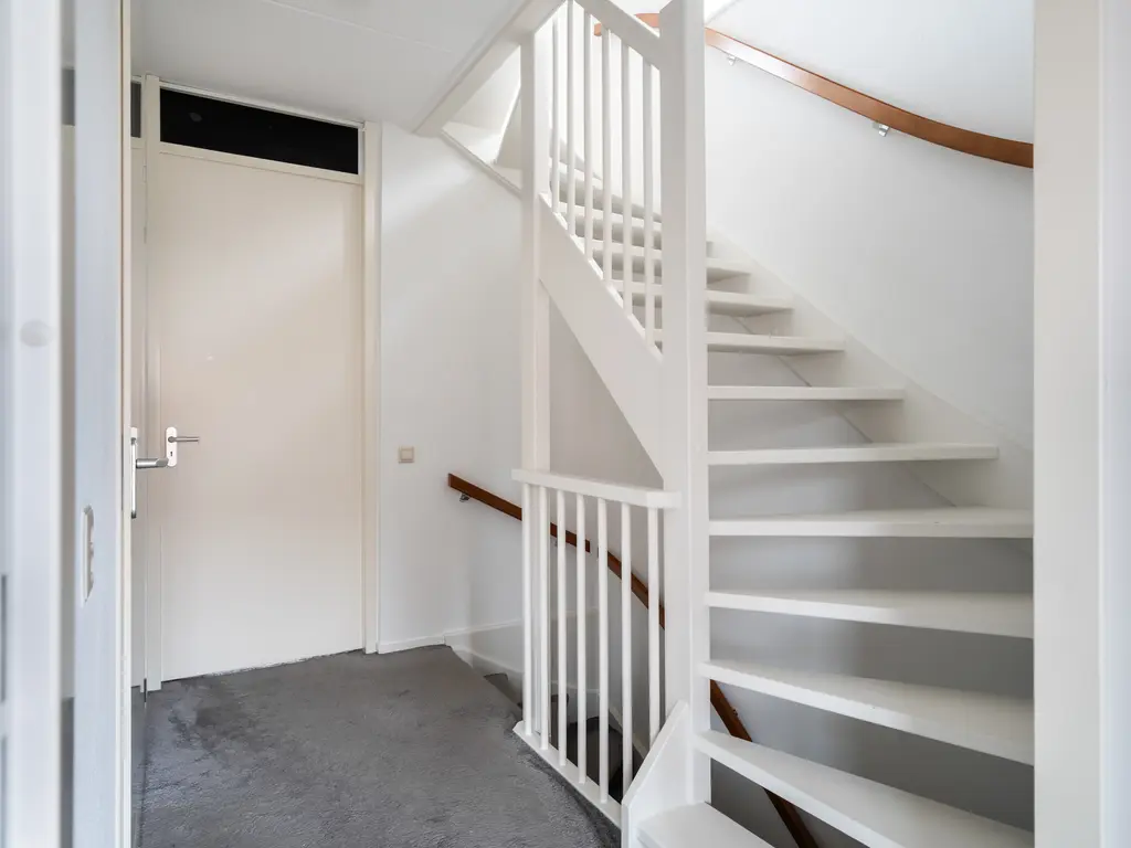 Zilvermijn 29, RHOON