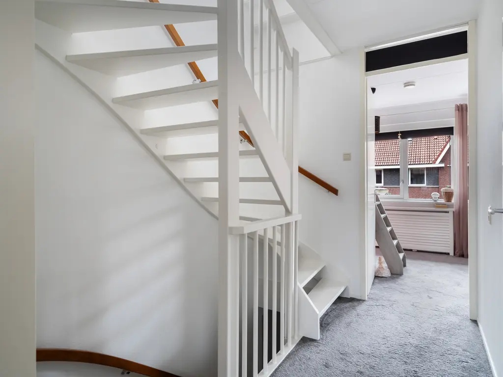 Zilvermijn 29, RHOON