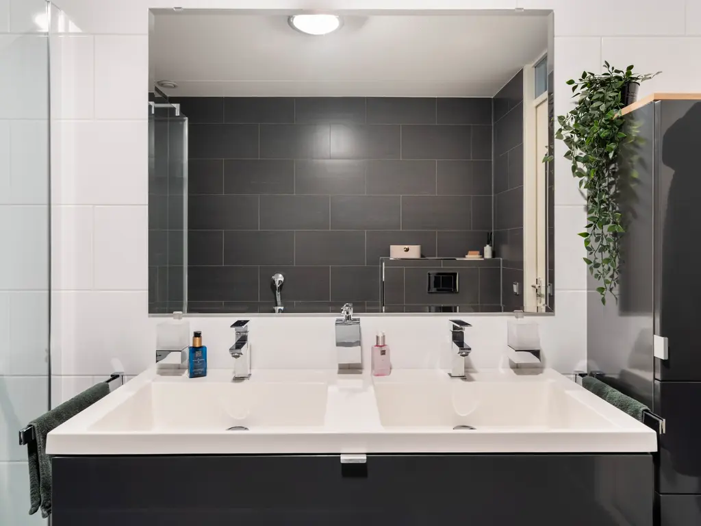 Zilvermijn 29, RHOON