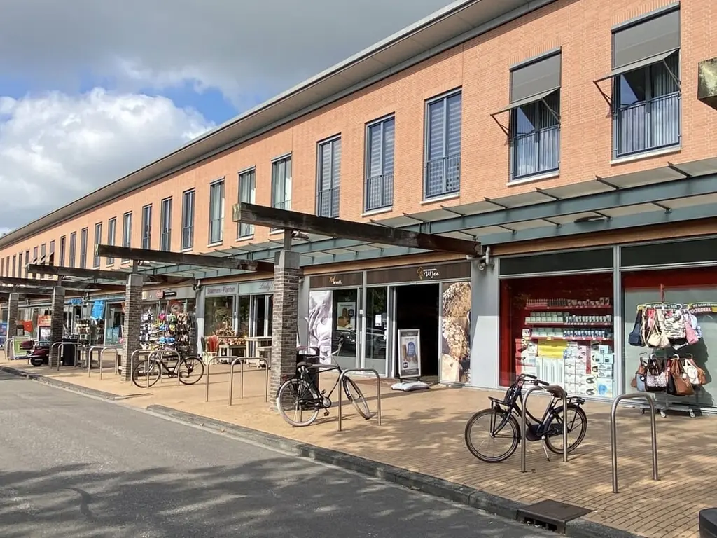 Zilvermijn 29, RHOON