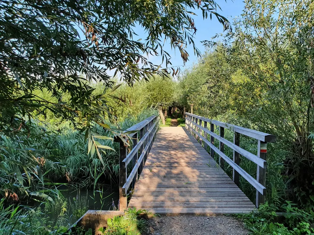 Zilvermijn 29, RHOON