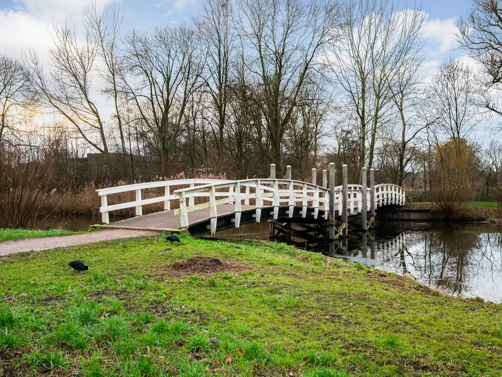 Valeriusstraat 15B, SCHIEDAM