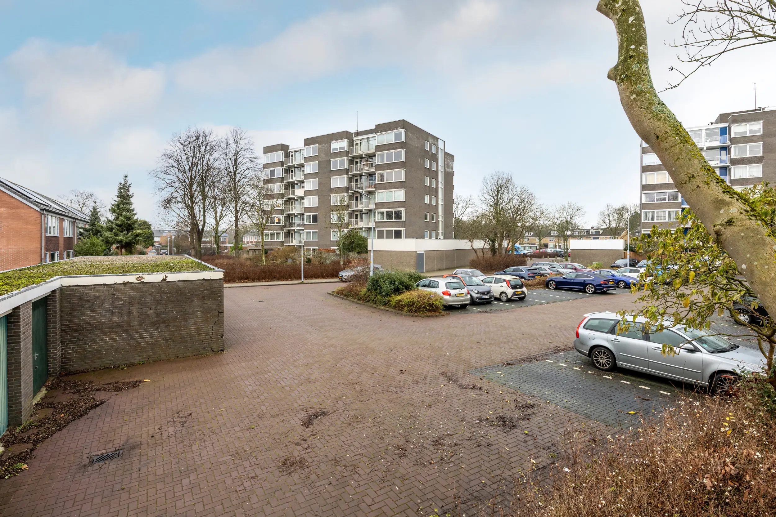 Graan voor Visch 16252