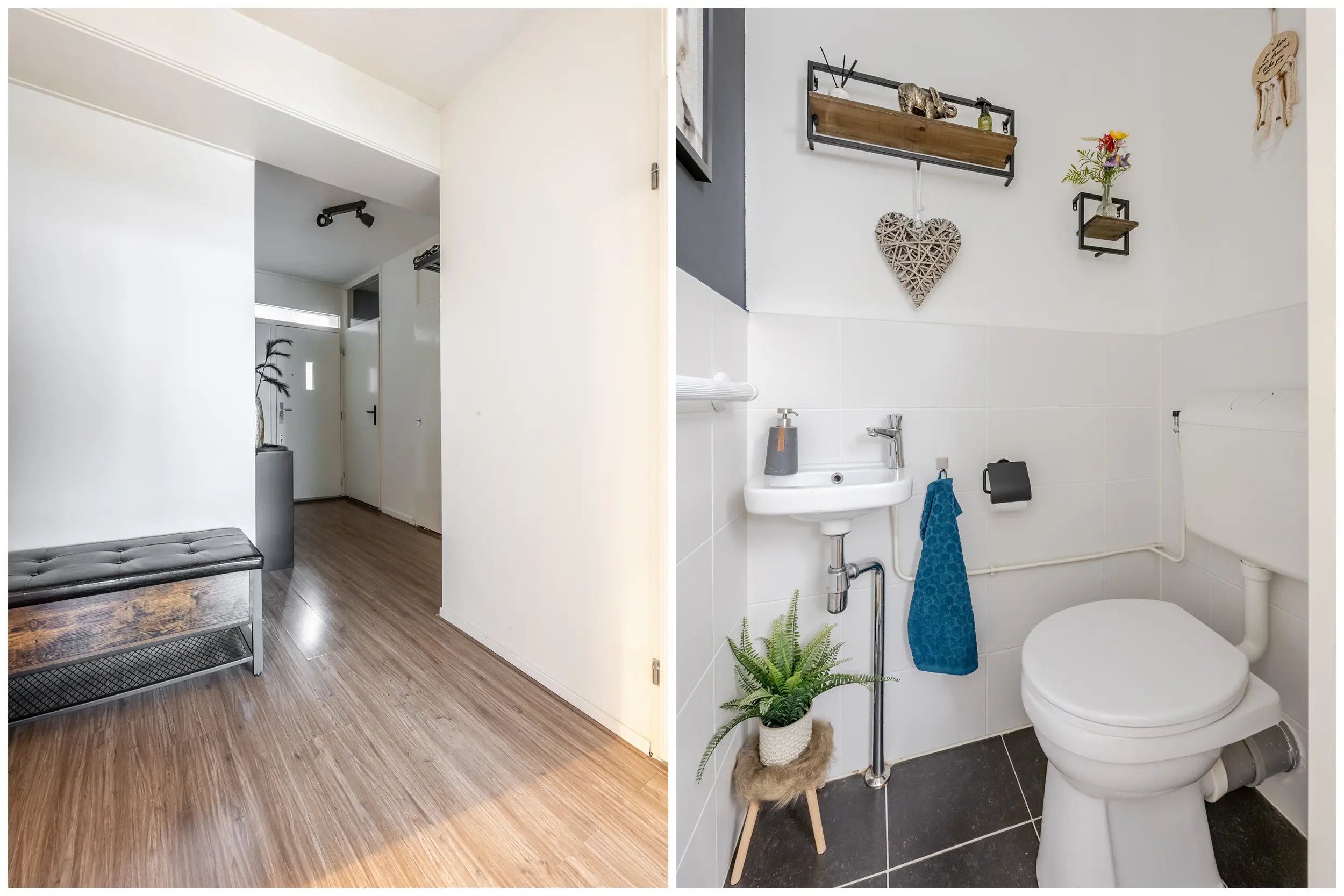 Graan voor Visch 16252