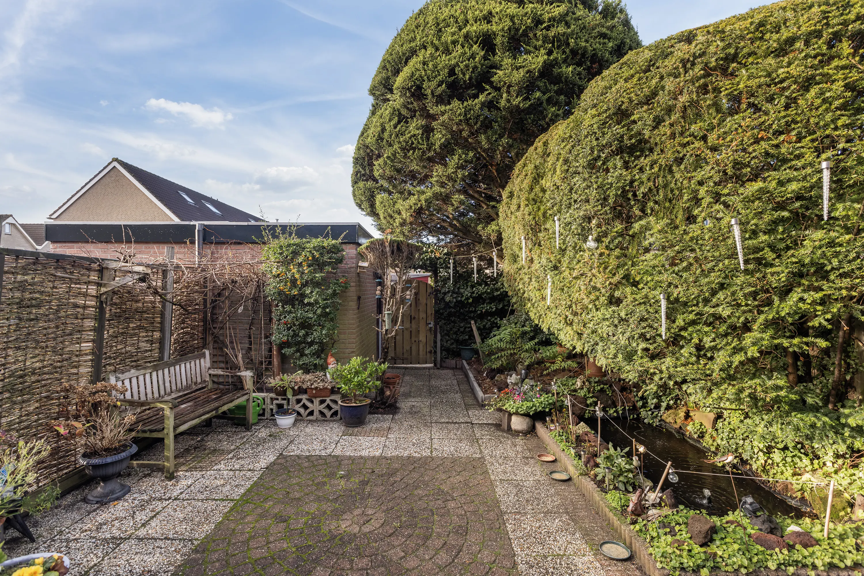 Jacoba Pompevliet 20