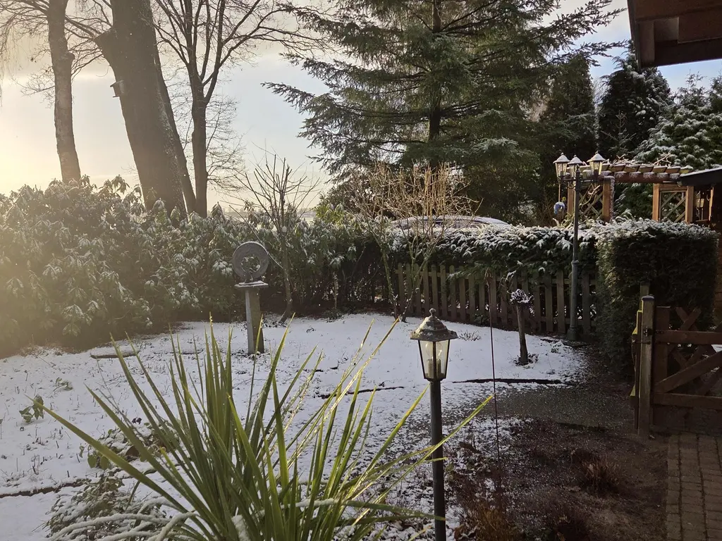 De Stille Wille 323, OOST WEST EN MIDDELBEERS