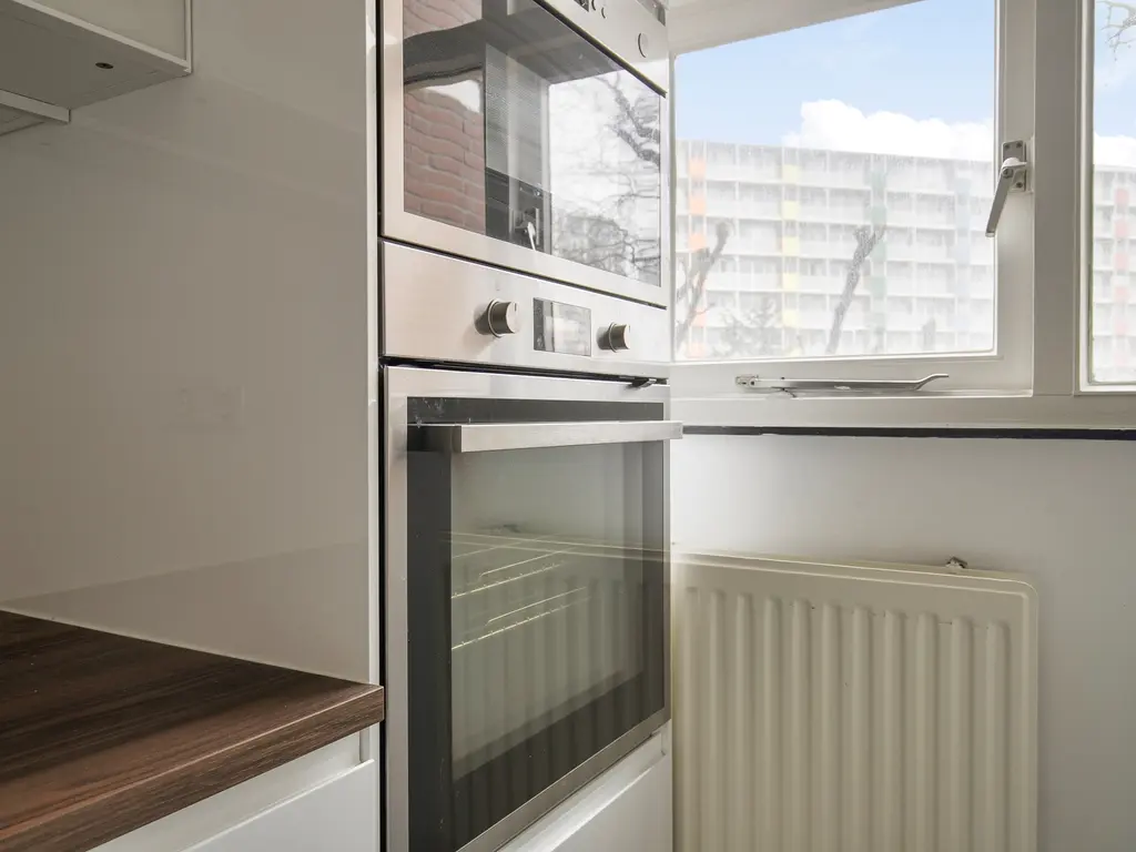 Morssingel 123, Leiden