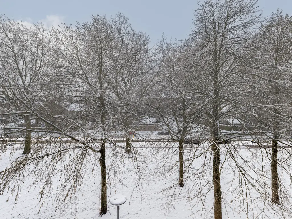 Warande 61, ROTTERDAM