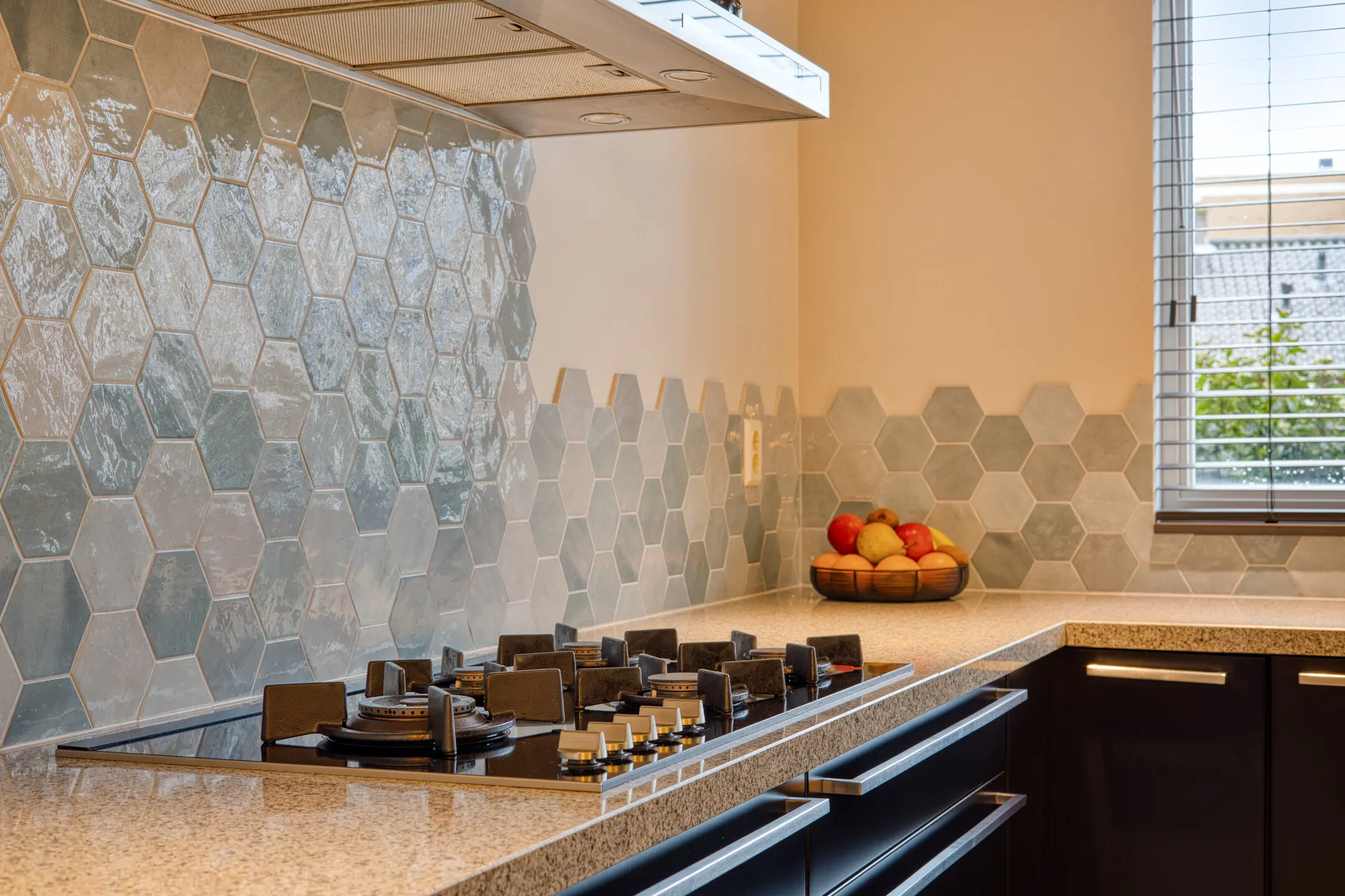 Catharina van Heenvlietstraat 8