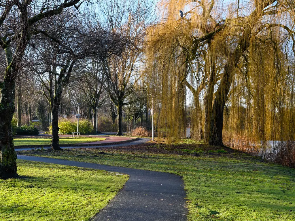 Zadkinerade 11, CAPELLE AAN DEN IJSSEL