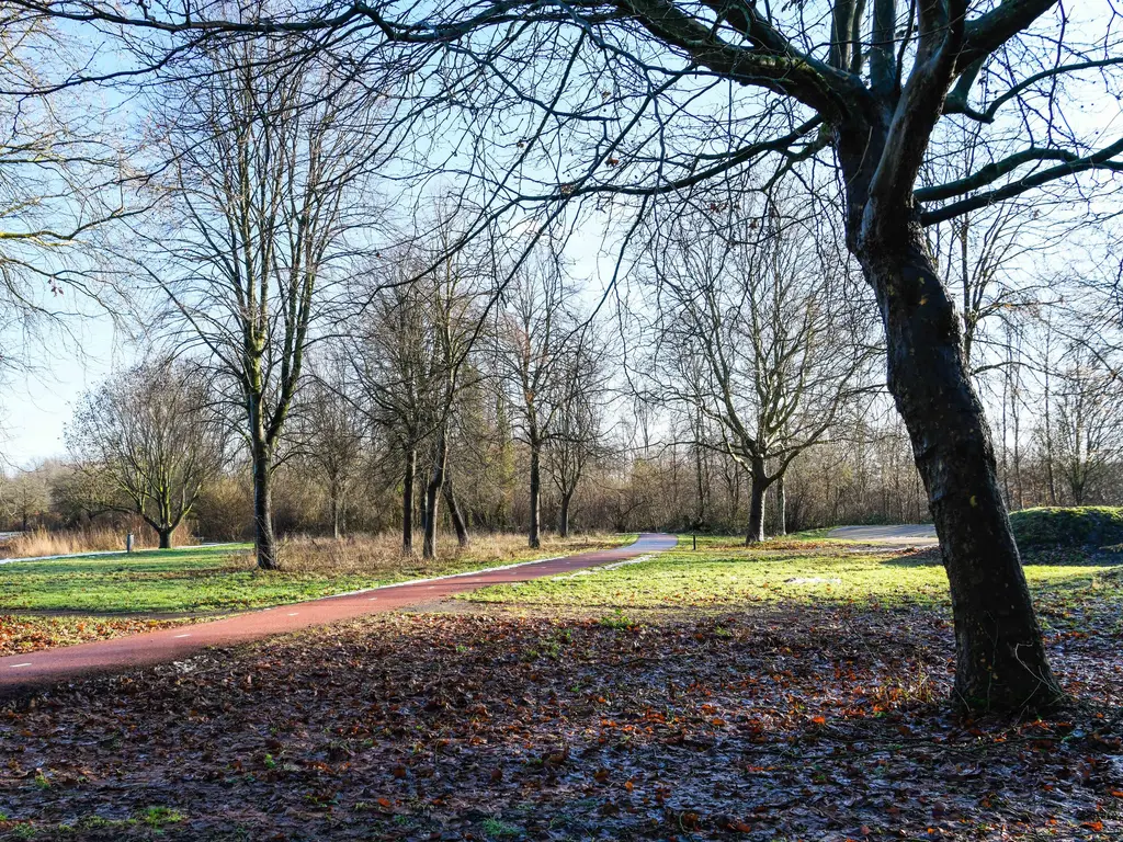 Zadkinerade 11, CAPELLE AAN DEN IJSSEL