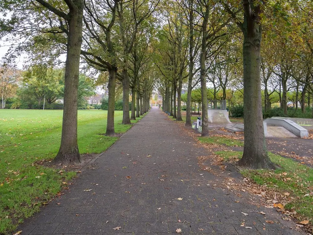 Dreeslaan 29, NAALDWIJK