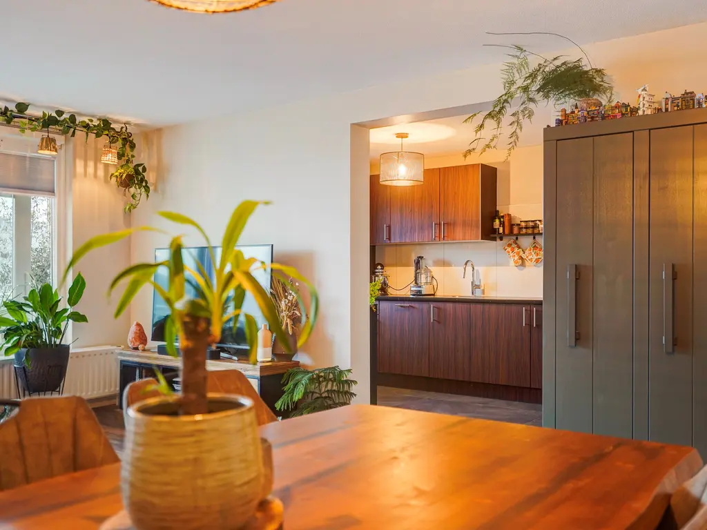 Zwolsestraat 390, Den Haag