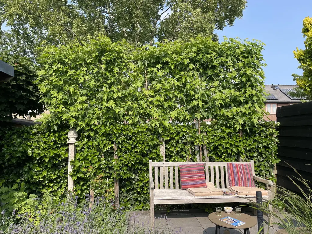 Julianastraat 29, HOOGKARSPEL