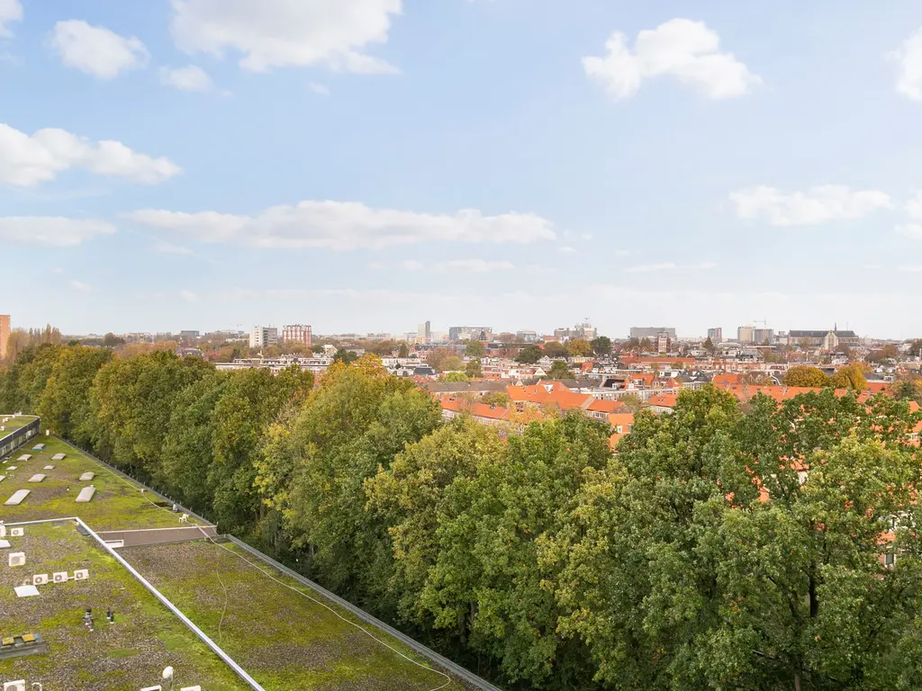 Ananasweg 142, Leiden