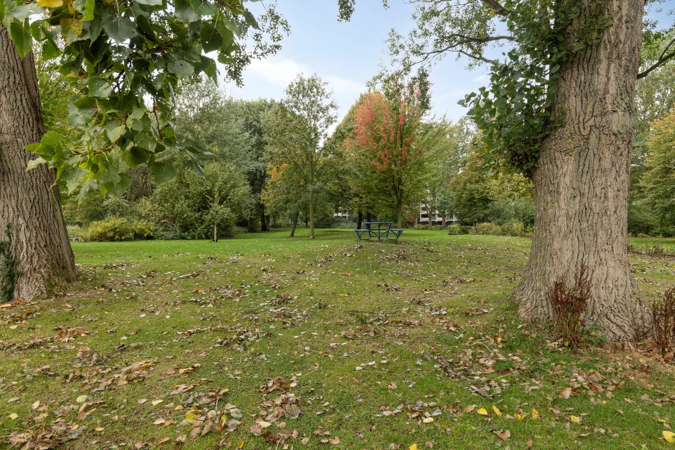 Roemer Visscherstraat 6A