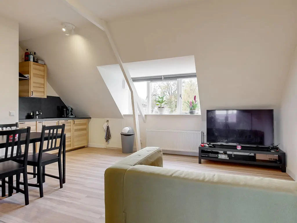 Leeuwerikstraat 17B, LEIDEN