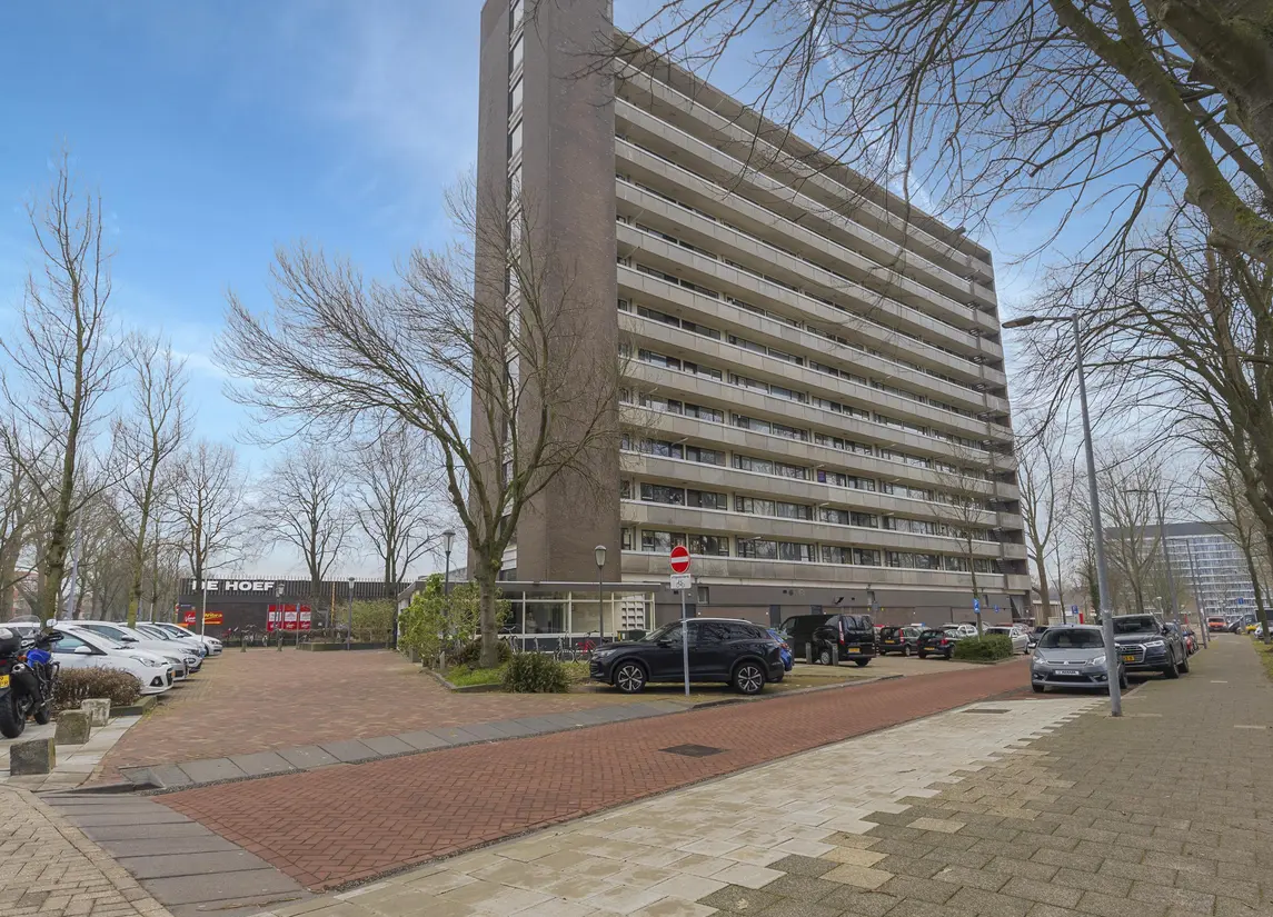 Judith Leysterstraat 53