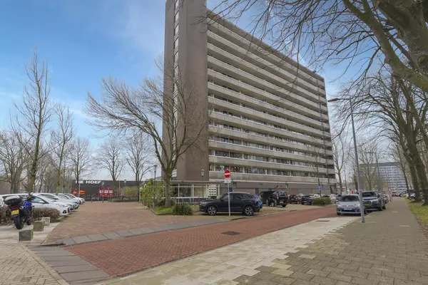 Judith Leysterstraat 53