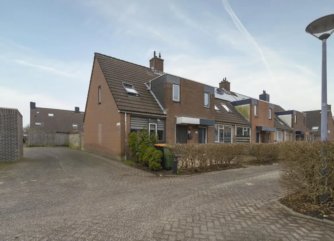 Boterbloem 111
