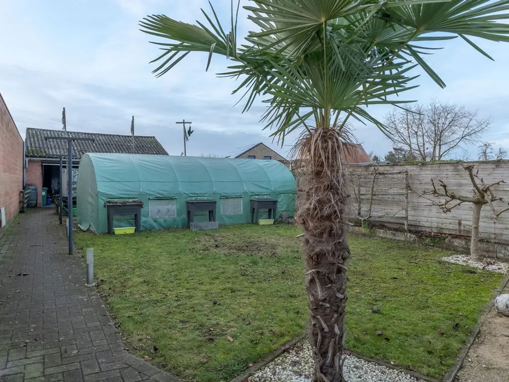 Vooreel 41  , Ravels