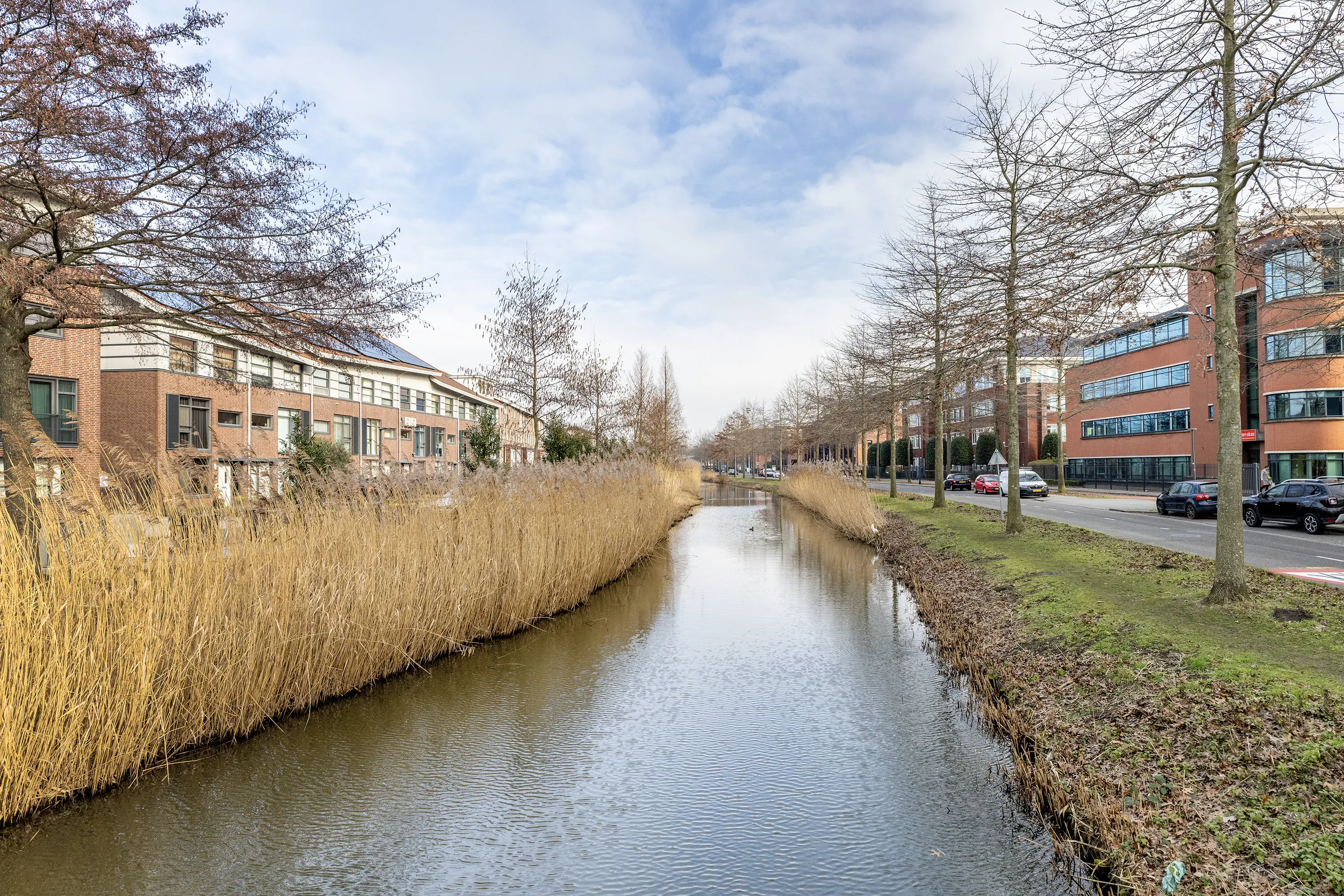 Fascinatio Boulevard 704K