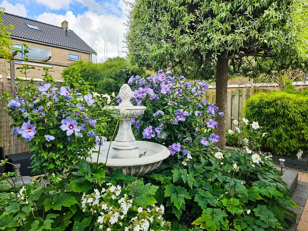 Boerhaavestraat 84, BOVENKARSPEL