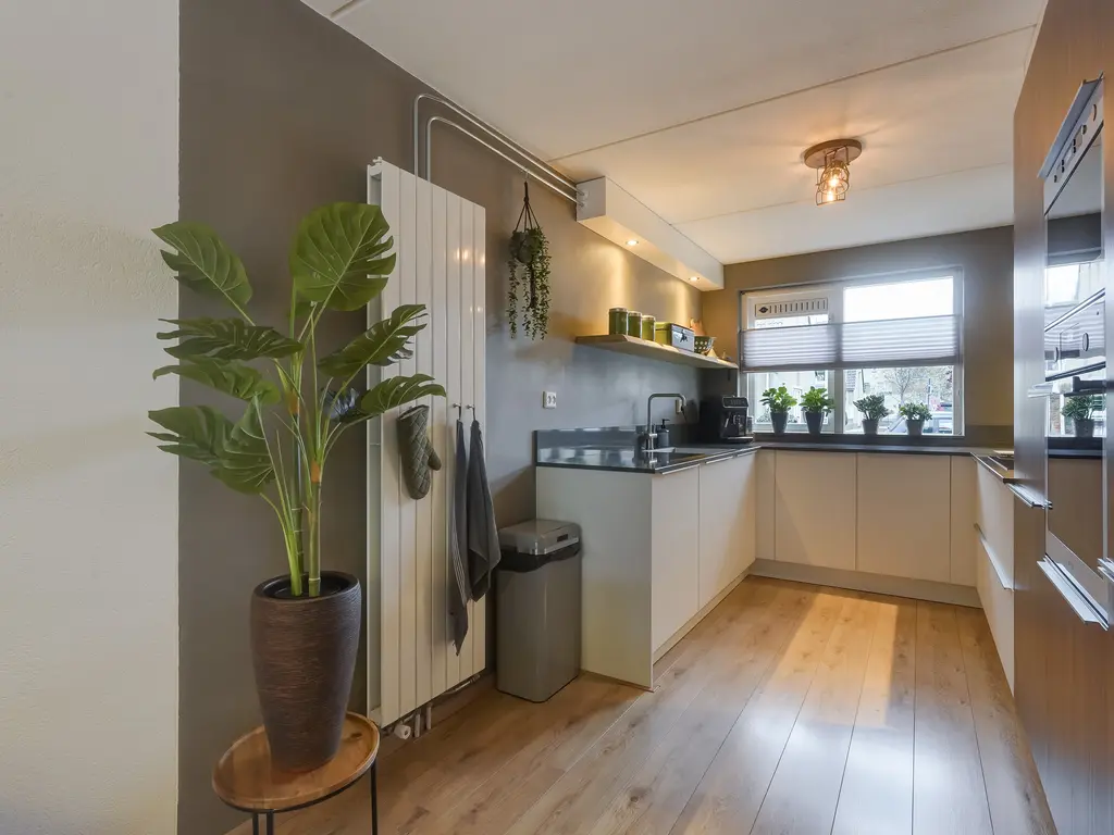 Lisdodde 13, MAASLAND