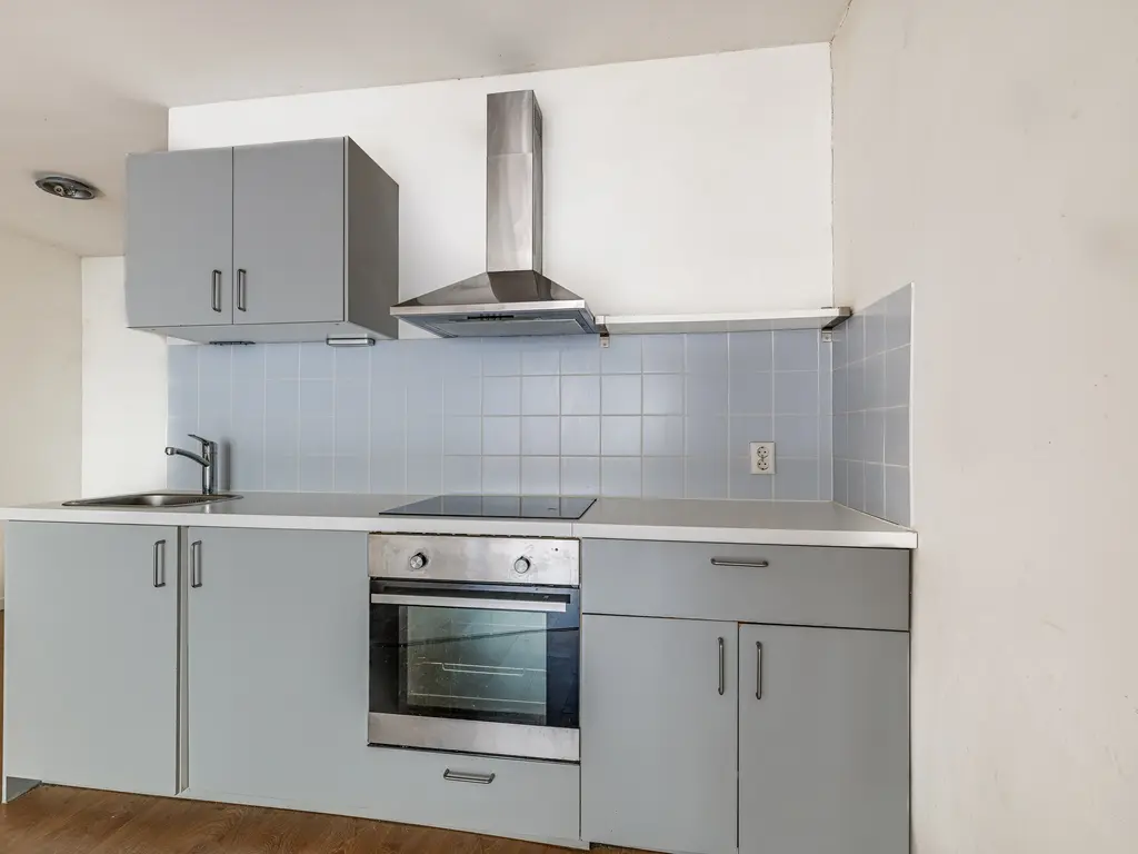 Levendaal 161, Leiden