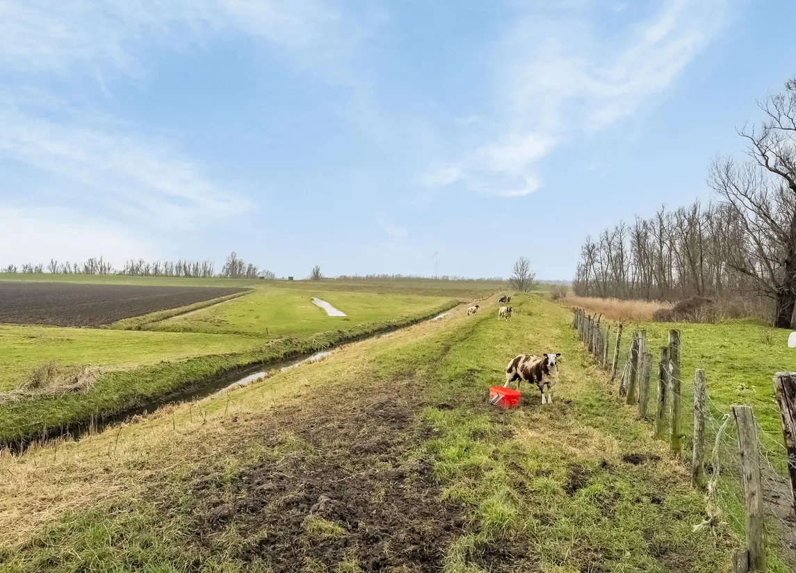 Lindtsedijk 23