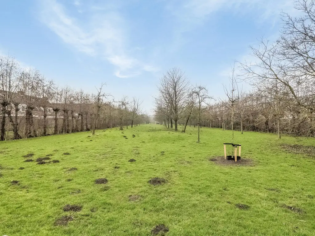 Kamperfoelie 19, POORTUGAAL