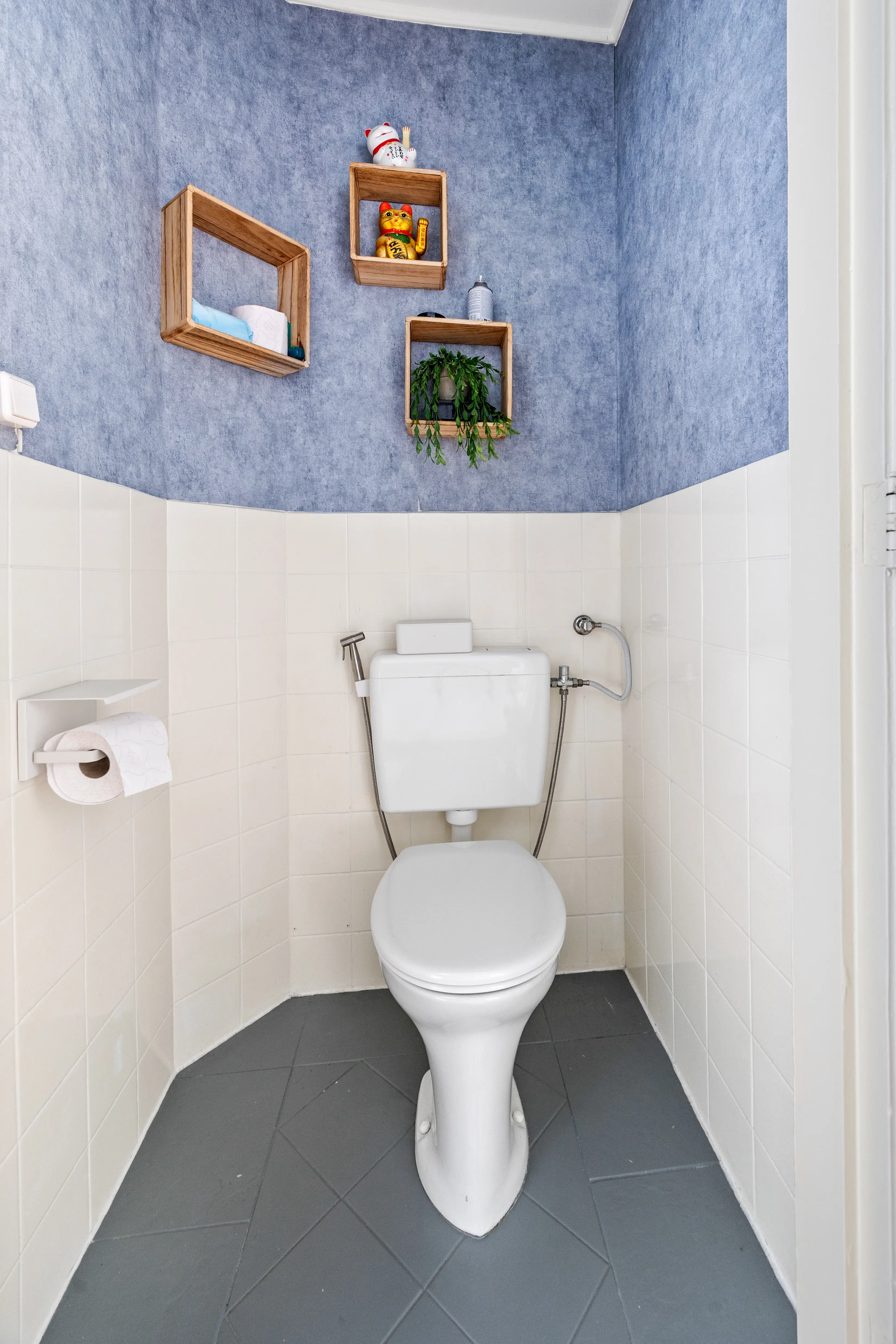 Allard Piersonlaan 244