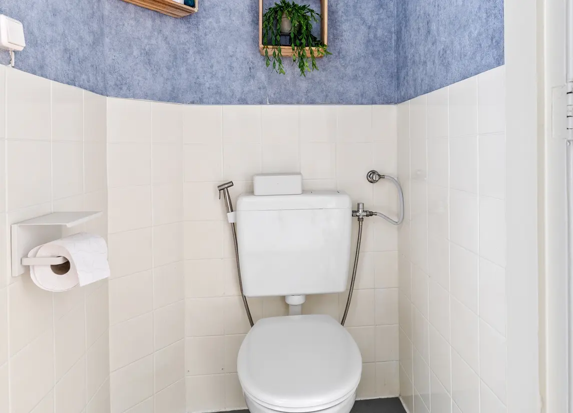 Allard Piersonlaan 244