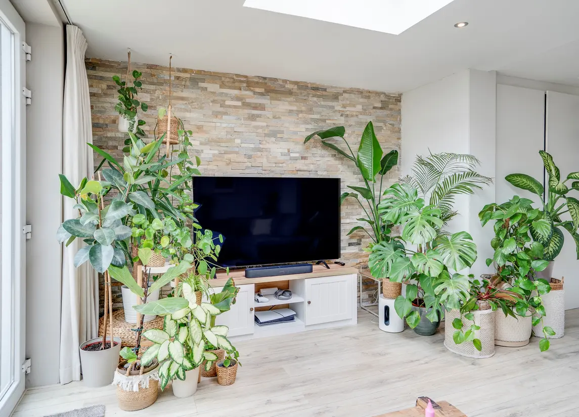 Maria van Bourgondiëstraat 16