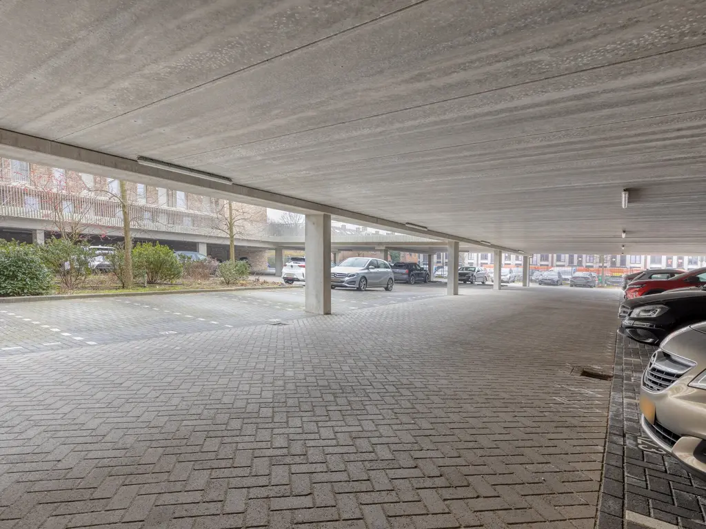 Sigmaplantsoen 701, Leiden