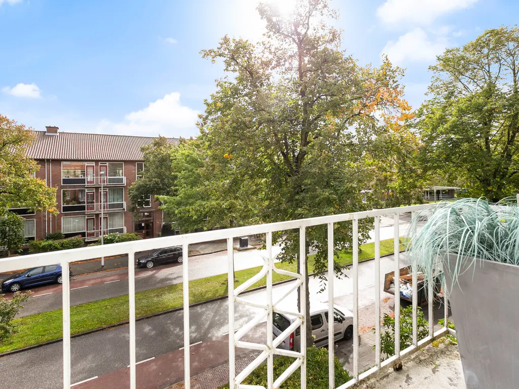 Burggravenlaan 227, Leiden