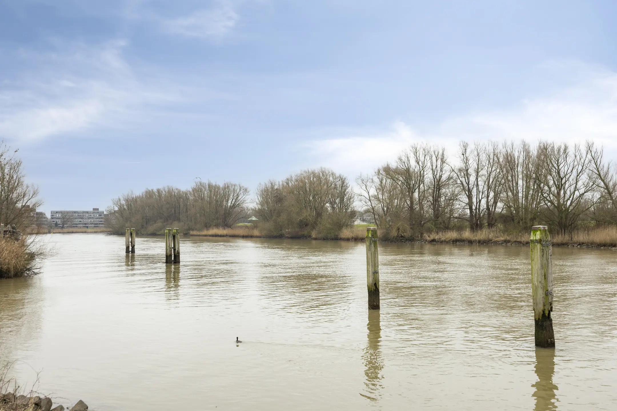 Generaal S.H. Spoorstraat 289