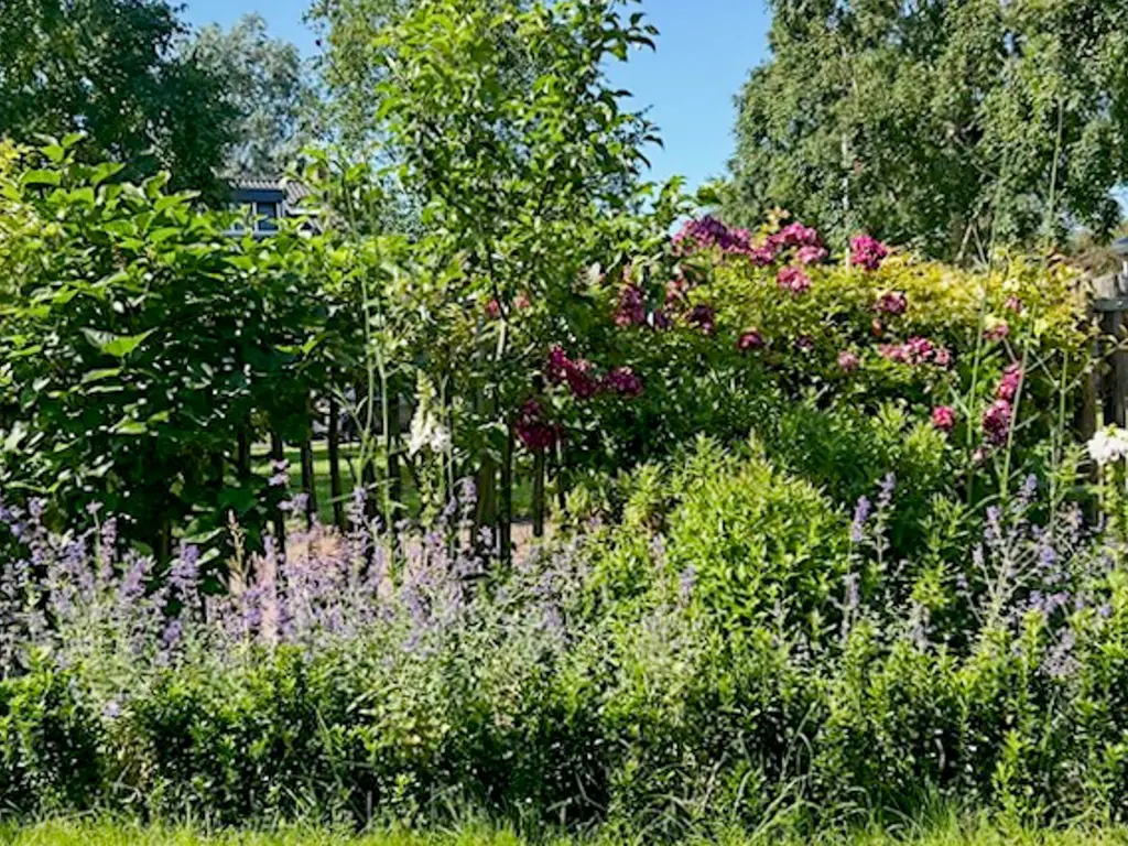 Park Die Leythe 16, Leiden