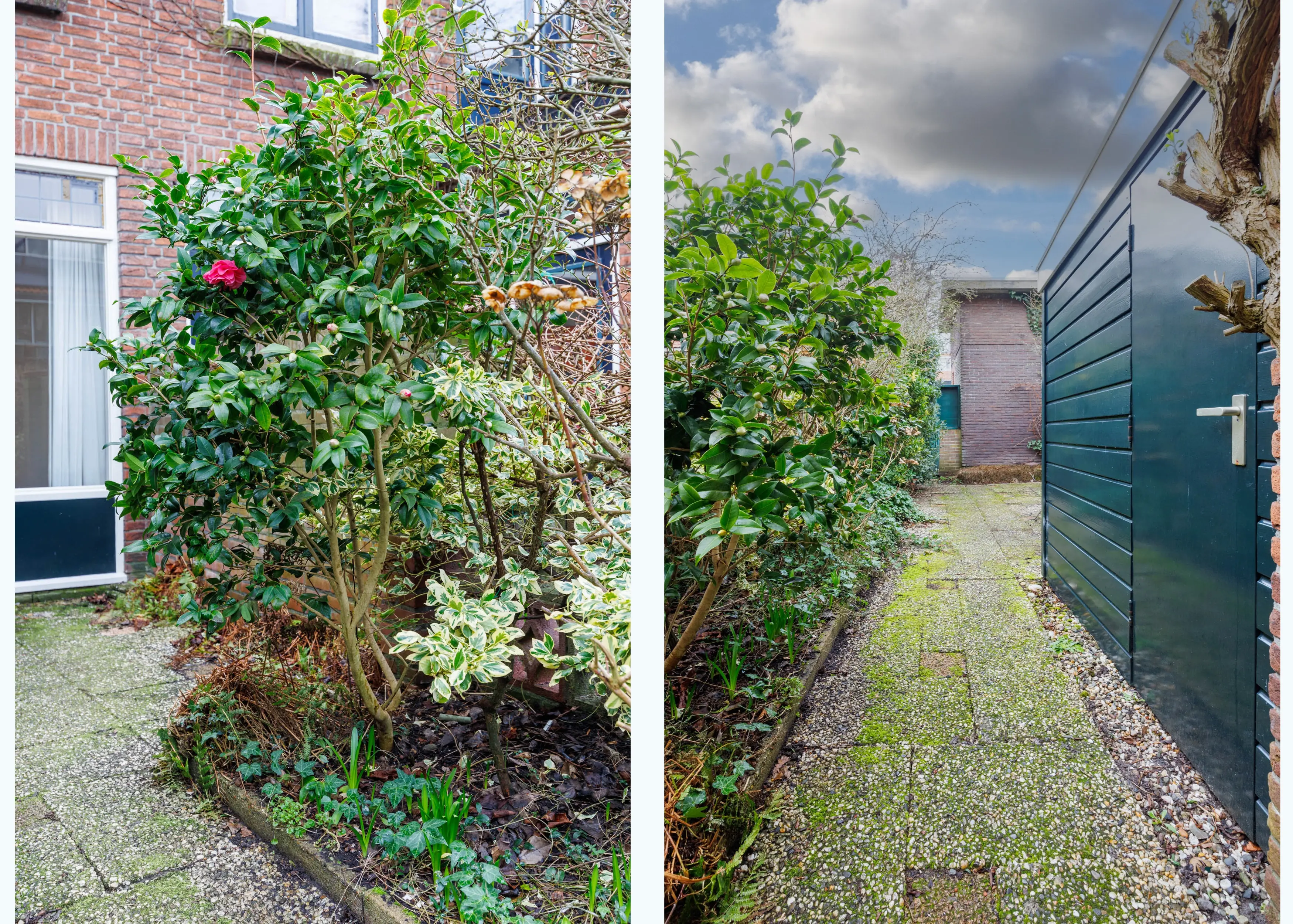 Buys Ballotstraat 46