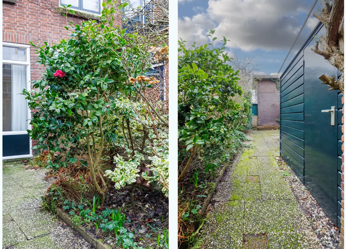 Buys Ballotstraat 46