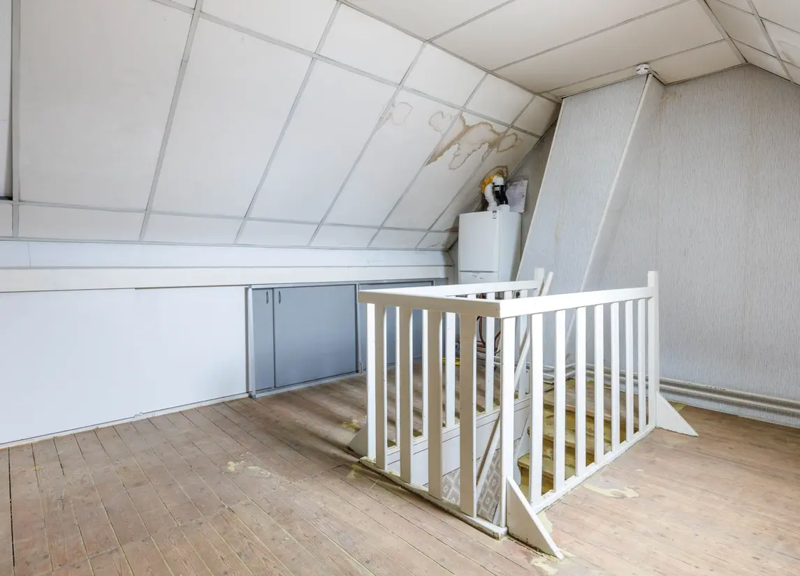 Buys Ballotstraat 46