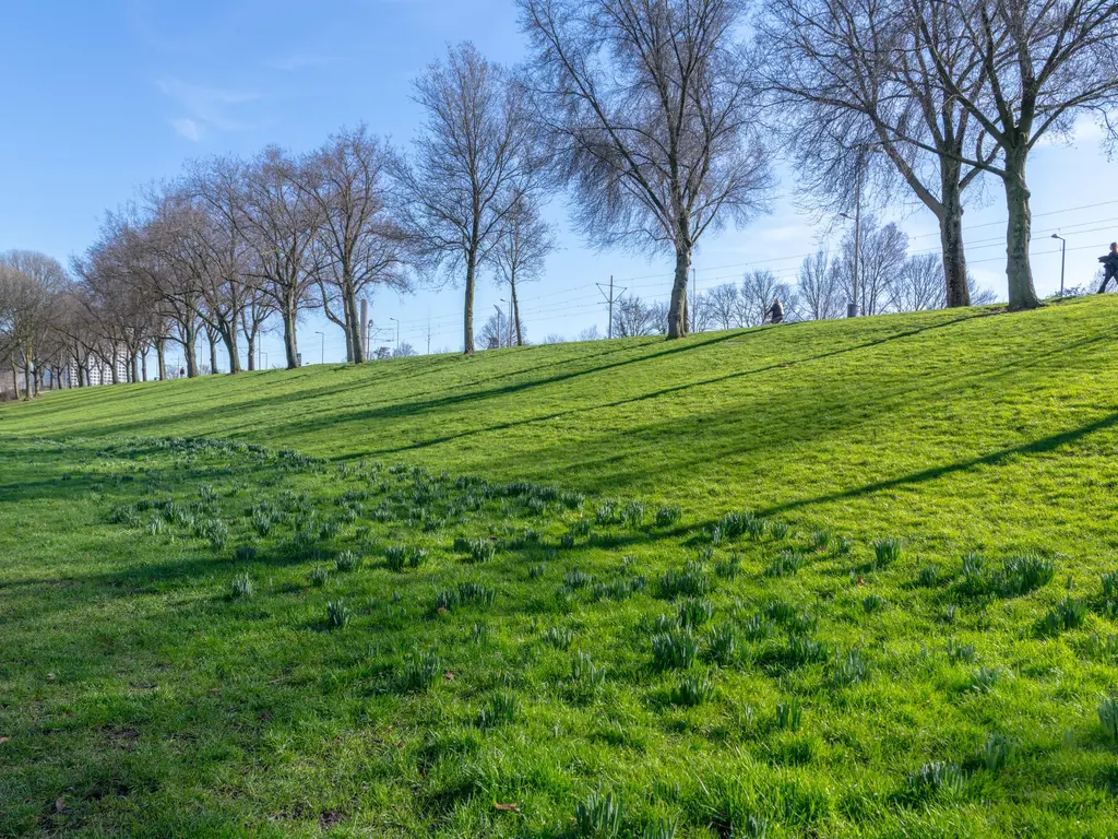 Rotterdamsedijk 26A, SCHIEDAM
