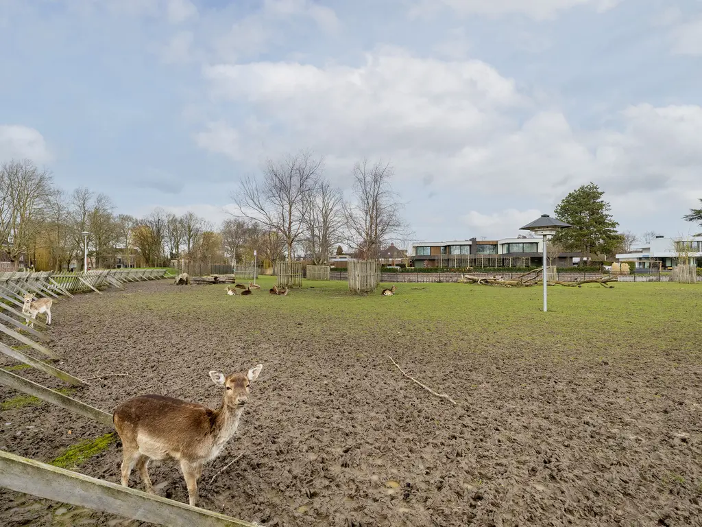 Zwaluwenlaan 52, RHOON