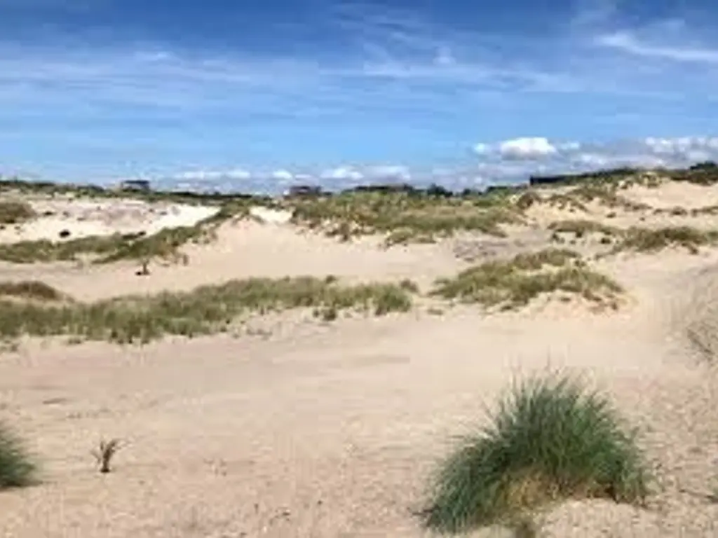 Zwolsestraat 390, Den Haag