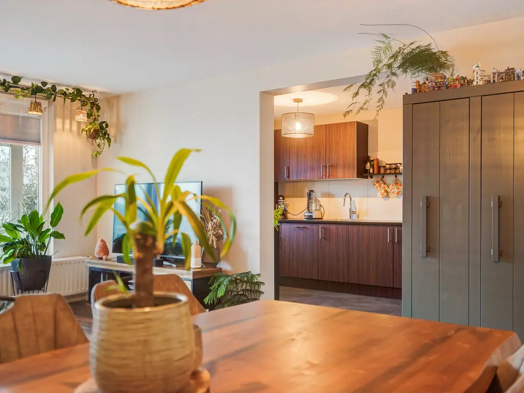 Zwolsestraat 390, Den Haag